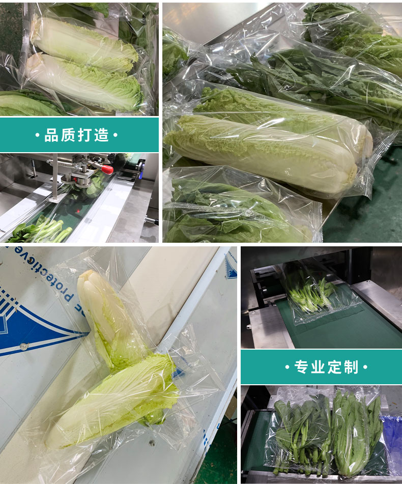 枕式白菜包裝機(圖2)